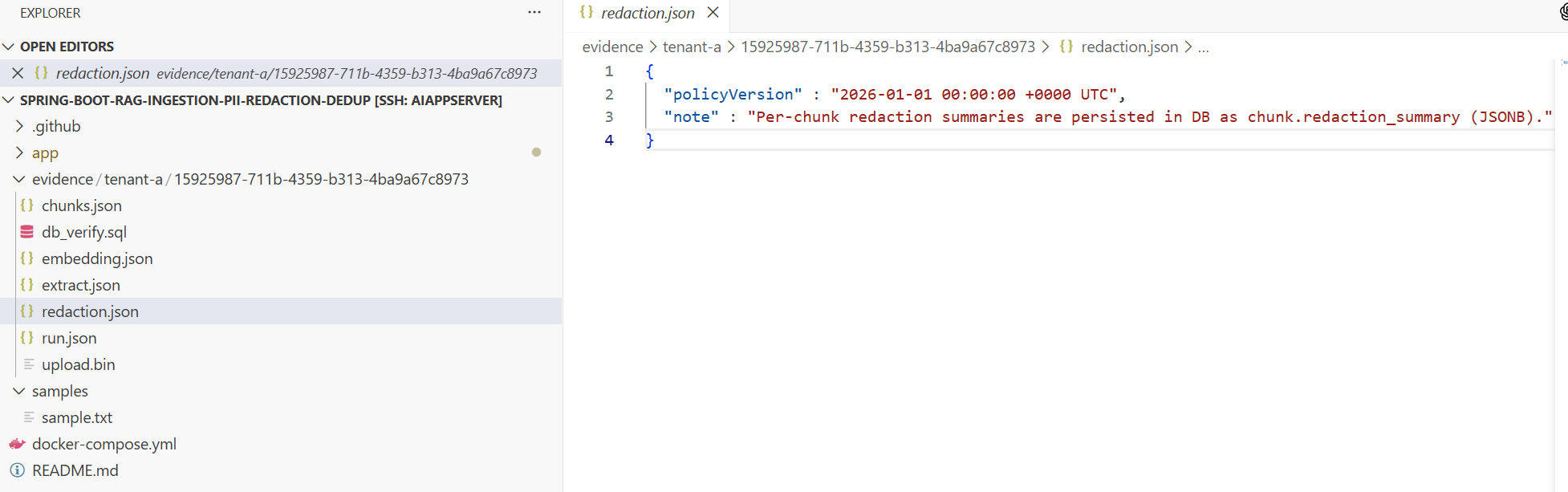 redaction.json-6.png