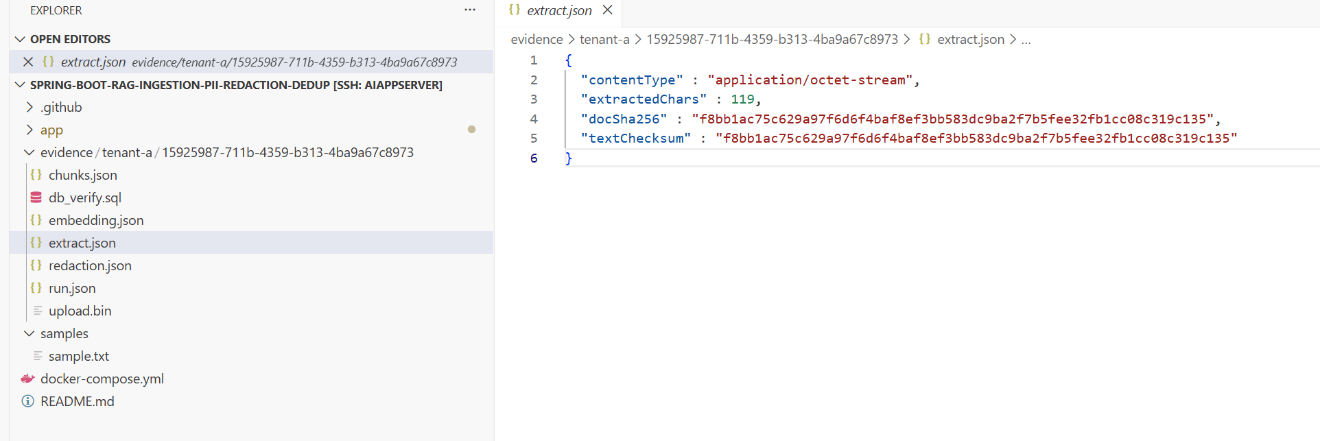 extract.json-5.png